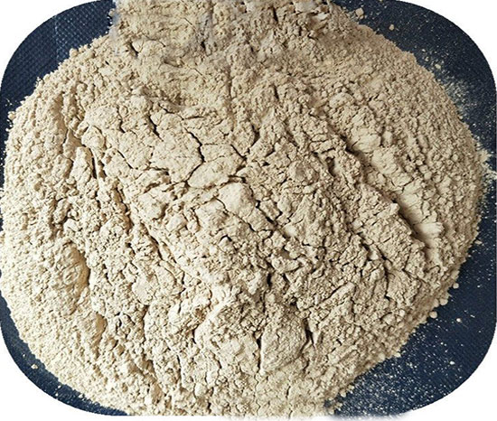 ���X���I(y��)���X�\��������|����|���σr����S�҈D