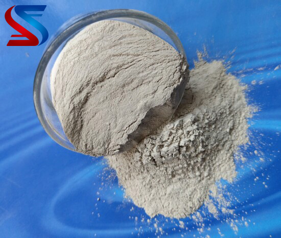 �X�\�����ϣ����X�\������(x��)�ۏS�҈D